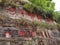 China Sichuan Chengdu Leshan Giant Buddha Maitreya Chinese Calligraphy Stone Cravings UNESCO World Heritage Minjiang Qingyi Dadu