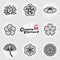 China traditional floral icons pattern set