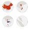 China, Vietnam, Thailand, Singapore map contour and national flag in a circle