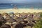 China  Wuzhizhou Island - December 2  2018: Wuzhizhou Island. Beach chairs and umbrellas at sea beach. Beautiful beach with sun