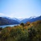 China Xinjiang beautiful lake and forest and snow mountain