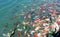 China Yunnan Lijiang Eternal Love Songcheng Paradise Theme Park Koi Fish Goldfish Fishes Pond Nature Lake Seaside Beach Riverside