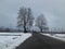 The Chinar Trees On The Main Road Of Bandipora, Kashmir