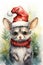 Chinchilla domestic animal in christmas santa claus hat watercolor art. Christmas Chinchilla illustration. Vertical format for