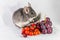 Chinchilla with fresh fruit