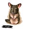 Chinchilla isolated on white background digital art illustration. Domestic fluffy pet, chinese zodiac rat symbol, furry mouse or