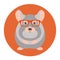 Chinchilla rodent in glasses vector illustration flat style