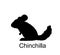 Chinchilla vector silhouette illustration isolated on white.