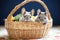 chinchillas side by side in a lined basket