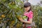 Chines Girl and Loquat