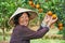 Chinese agricultural farm worker