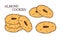 Chinese almond cookies vector illustration. Chinese New year dessert almond biscuit