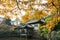 Chinese ancient architecture with Defocus Orange maple leaves.
