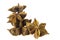 Chinese anise