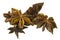 Chinese anise