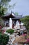 Chinese arbour gazebo and in the park