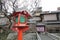 Chinese, architecture, torii, japanese, building, shinto, shrine, temple, tree, roof, facade