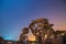 Chinese Armillary Sphere and Night Sky