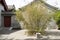Chinese Asia, Beijing, Beihai Park, the ancient building, courtyard, gatehouse, bamboo