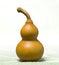 chinese bottle gourd