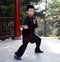 Chinese boy doing wushu in the park