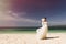 Chinese bride on the beach.