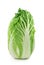 Chinese cabbage