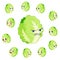 Chinese cabbage cartoon with many expressions