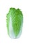 Chinese cabbage isolated on white background