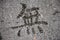 A Chinese calligraphy written with water on the cement ground in a park.