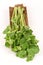 Chinese celery, Celery, Smaltage (Apium graveolens Linn.)