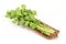 Chinese celery, Celery, Smaltage (Apium graveolens Linn.)