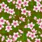 Chinese cherry blossom sakura branches seamless