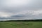 A Chinese cloud dragon flying over the withered swamp in the fields