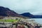 Chinese Crested Dog looking out at Wastwater Lake