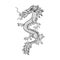 Chinese dragon hand drawn contour illustration