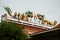 Chinese dragon Statue on roof of chinese temple in Wat Sakae Krang