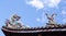 Chinese Dragon and Swan statue in the corner roof with blue sky