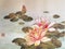 Chinese Fan Painting Lotus Waterlilies Flowers Flower Bird Brush Paintings Watercolor Prints Song Dynasty