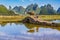 Chinese farmer with water buffalo, China.