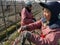 Chinese farmers cutting grape branches