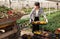 Chinese female florist throws wilted flowers into the back of a tractor