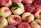 Chinese flat donut peaches also known as Saturn donut, Doughnut peach,Paraguayo as a background.Healthy eating or diet concept.