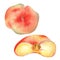 Chinese flat fig peach whole and half watercolor illustration isolated on white. Watercolor painted pink fruits sliced