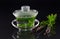 In a Chinese Gaiwan made of glass there is fresh, warm peppermint tea against a dark background with fresh peppermint and flowers