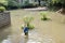 Chinese gardener woman doing gardening in the city park of Hong Kong