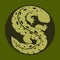 Chinese giant salamander, Hellbender icon, Salamander vector design illustration