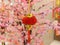 Chinese good luck knots or gift flocking lantern chinese party ney year decor or hongkong hanging decoration