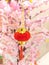 Chinese good luck knots or gift flocking lantern chinese party ney year decor or hongkong hanging decoration