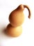 Chinese gourd